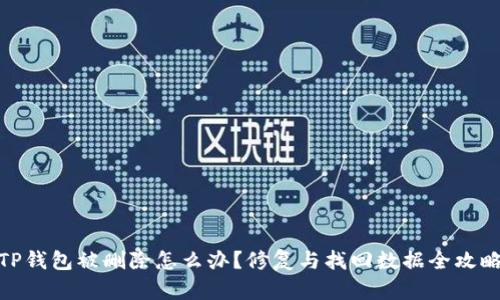 TP钱包被删除怎么办？修复与找回数据全攻略