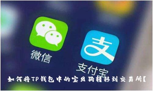 如何将TP钱包中的宝贝狗转移到交易所？