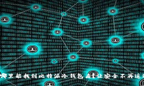 在哪里能找到比特派冷钱包盾？让安全不再遥远！