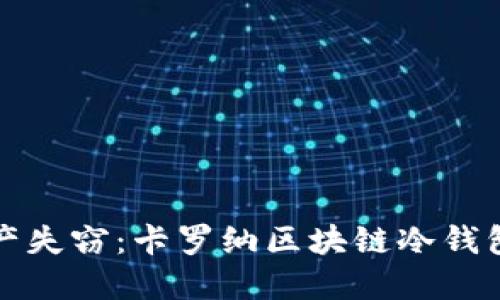 告别数字资产失窃：卡罗纳区块链冷钱包的强大保护
