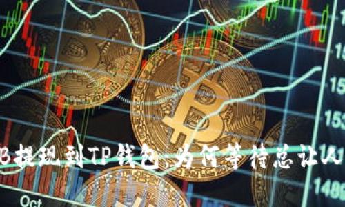 从BNB提现到TP钱包：为何等待总让人心急？