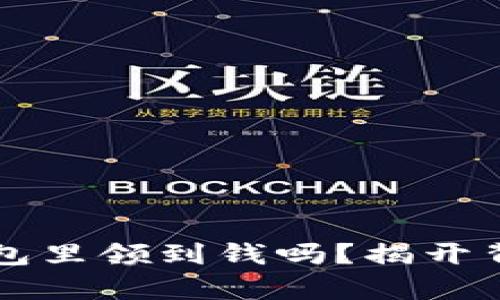 真的能从数字钱包里领到钱吗？揭开背后的真相与挑战