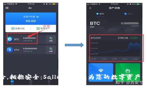 告别风险，拥抱安全：Sallet冷钱包为您的数字资产保驾护航