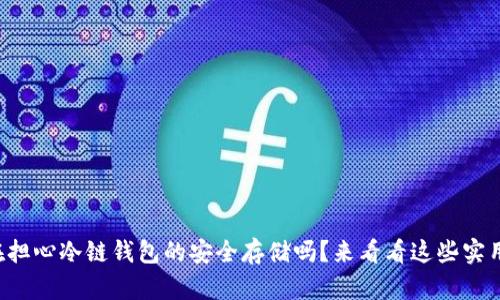 你还在担心冷链钱包的安全存储吗？来看看这些实用技巧！