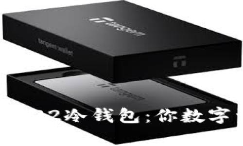 如何选择和使用S22冷钱包：你数字资产的安全护卫