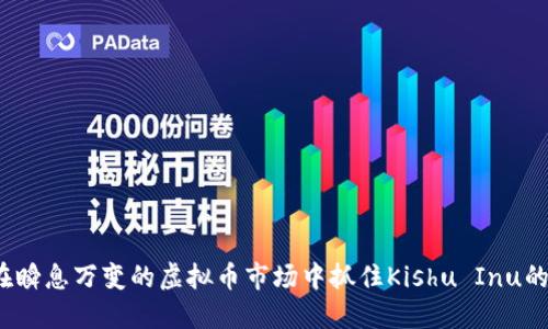 如何在瞬息万变的虚拟币市场中抓住Kishu Inu的机遇？