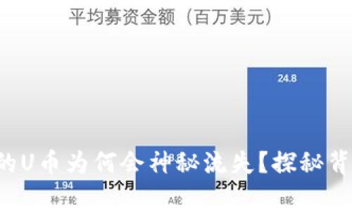 TP钱包中的U币为何会神秘流失？探秘背后的真相！