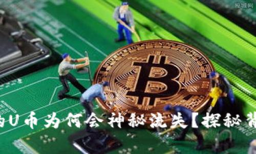 TP钱包中的U币为何会神秘流失？探秘背后的真相！