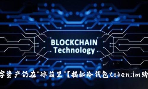 为什么你的数字资产仍在“冰箱里”？揭秘冷钱包token.im购买能量的真相！