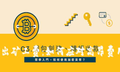 TP钱包转出矿工费：如何应对高昂费用的挑战？
