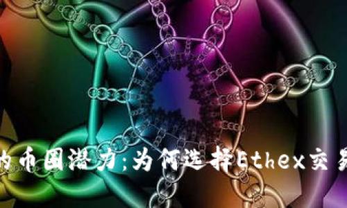 解锁你的币圈潜力：为何选择Ethex交易所APP？