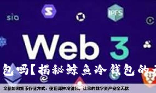 你还在用传统钱包吗？揭秘鲸鱼冷钱包的无与伦比安全性！