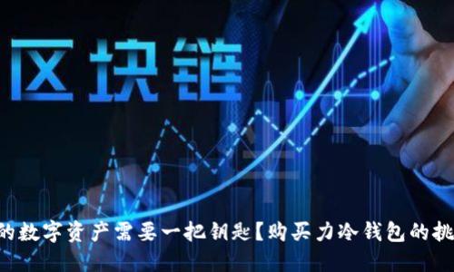 为什么你的数字资产需要一把钥匙？购买力冷钱包的挑战与对策！