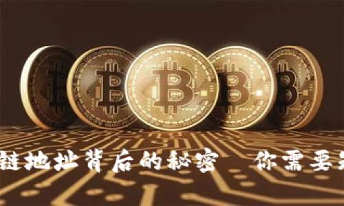 深入解析：区块链地址背后的秘密—你需要知道的所有信息