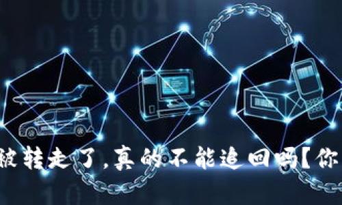 TP钱包里的币被转走了，真的不能追回吗？你的资产安全吗？