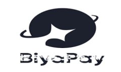 挑战传统金融，探索数字货币AcU的无限可能