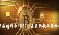 中国比特币CHBTC：未来的挑战与机会