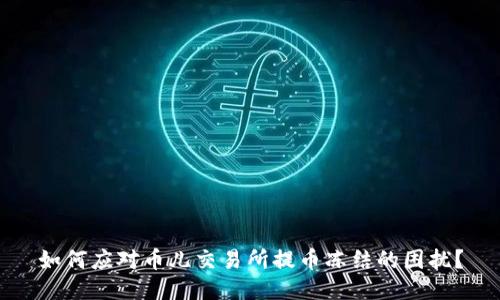 如何应对币儿交易所提币冻结的困扰？