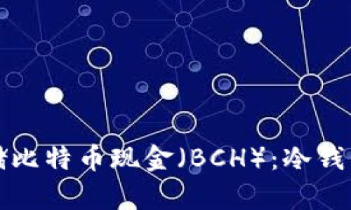 如何安全存储比特币现金（BCH）：冷钱包的终极挑战