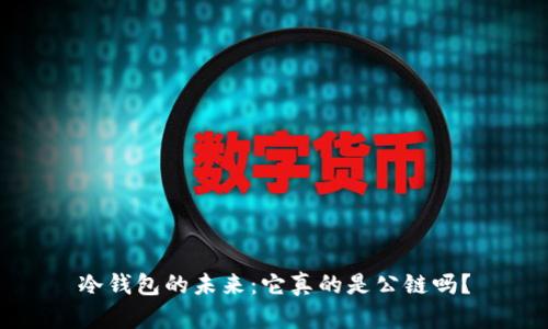 冷钱包的未来：它真的是公链吗？