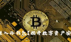 假U能否安全进入冷钱包？揭开数字资产安全的神