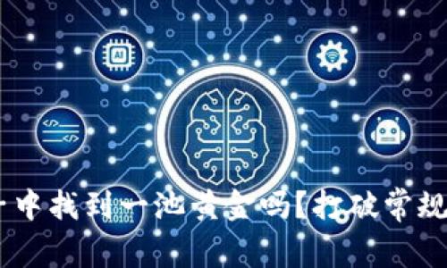 想要在TP钱包池子中找到一池黄金吗？打破常规，发掘财富新机遇！