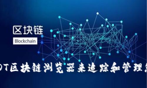 如何使用USDT区块链浏览器来追踪和管理您的数字资产