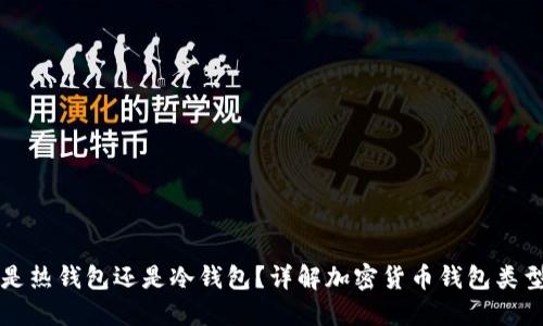 小狐狸钱包是热钱包还是冷钱包？详解加密货币钱包类型及选择指南