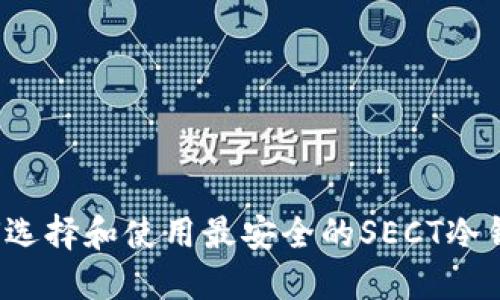 如何选择和使用最安全的SECT冷钱包？