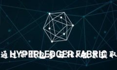 如何通过TP钱包参与TRX投票获取收益