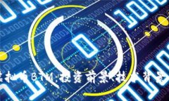 深入解析虚拟币BTM：投资前景、技术背景与市场
