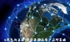 u钱包的未来：下架原因与用户应对策略
